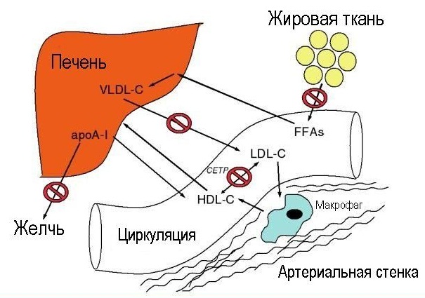 Nicotinic acid for eyebrows and eyelashes in ampoules. Application, how to use, photos, reviews