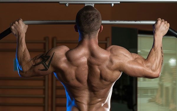 Back workout in the gym. Exercises for girls, a program for pumping up the broadest muscles of the back