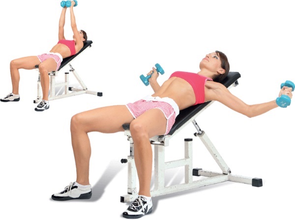 Basic exercises in the gym for girls for all muscle groups, weight loss