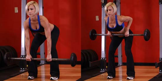 Basic exercises in the gym for girls for all muscle groups, weight loss