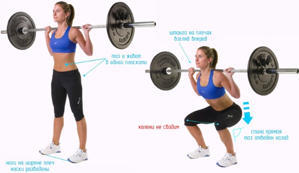 Basic exercises in the gym for girls for all muscle groups, weight loss