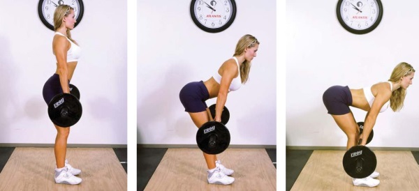 Leg exercises in the gym. Slimming program for pumping muscles