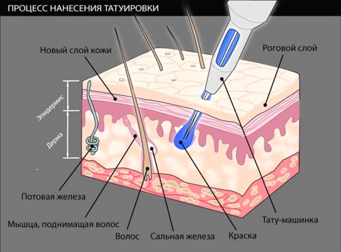 Permanent eyebrow makeup. Contraindications, consequences, complications