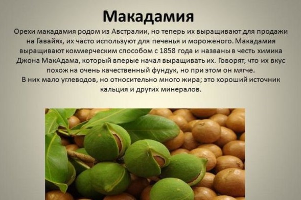 Macadamia Oil for hair. Composition, use, application, reviews