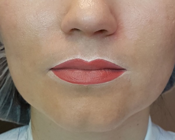 Permanent lip makeup with shading. Photos before and after the procedure, price