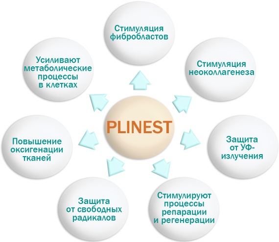 Polynucleotides in injection cosmetology. Preparations, prices, where to buy