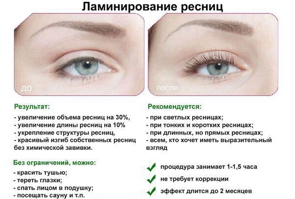 Professional formulations for lamination of eyebrows and eyelashes. Thuya, Lvl, Barbara, Lovely, Lash botox. Prices and reviews