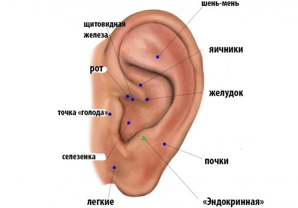 Points on the body for slimming the abdomen, sides, hips. Human body acupuncture, diagram, photo, video