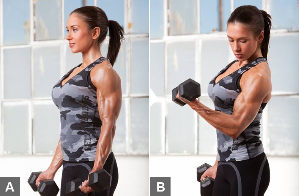 Exercises for biceps in the gym for girls are basic. Workout program for the week