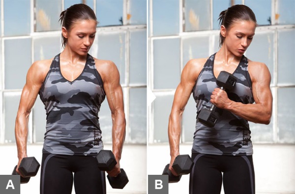 Exercises for biceps in the gym for girls are basic. Workout program for the week