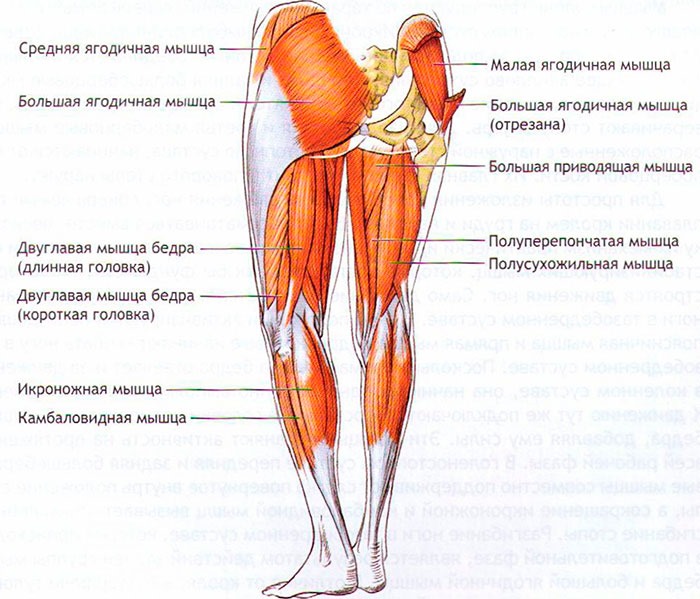 Jogging on the spot for weight loss. Technique, how much time, calories burned exercise