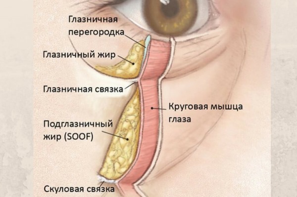 Tyndall effect in cosmetology under the eyes, on the skin of the lips. When observed how to remove