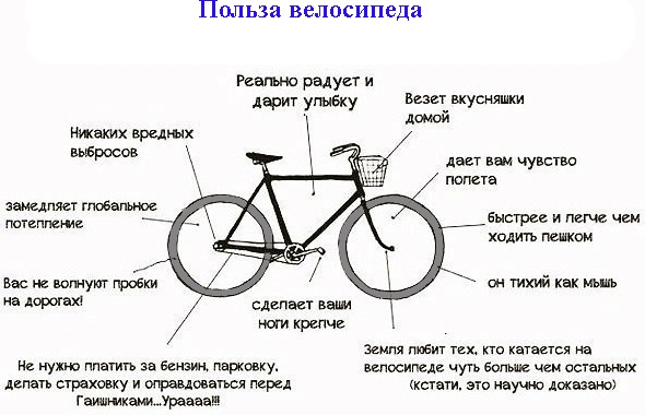 A ride on the bicycle. Benefits and harms for men and women. Norms how much you need to drive