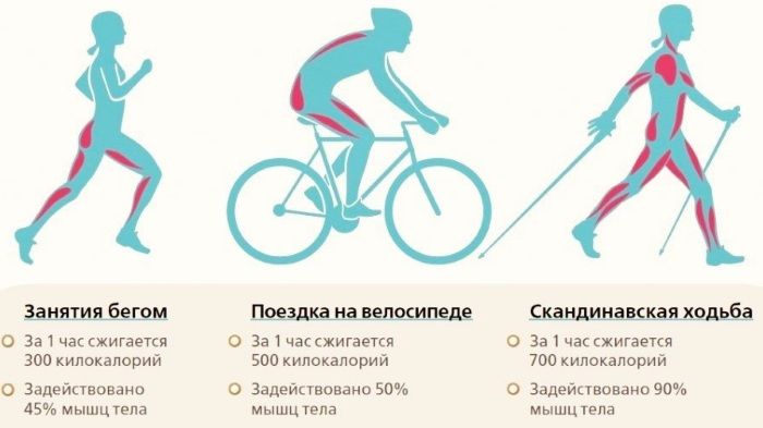 A ride on the bicycle. Benefits and harms for men and women. Norms how much you need to drive