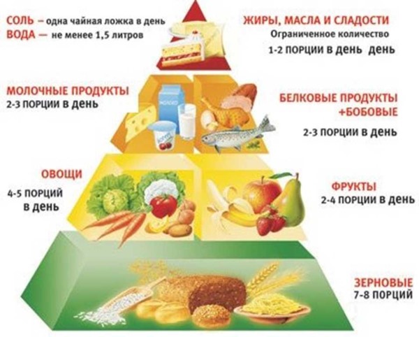 Functions of proteins in the human body. Table with examples for athlete, bodybuilder, nutrition