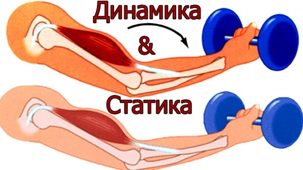 Isometric exercises. Complex for legs, cervical spine, back, press. How to do it at home