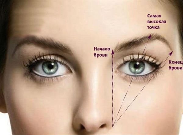 How to properly shape eyebrows with a pencil, paint, henna. Photos, instructions at home