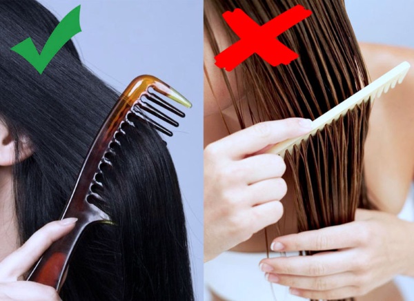 I migliori pettini da massaggio per capelli. Come scegliere un professionista, prezzi e recensioni