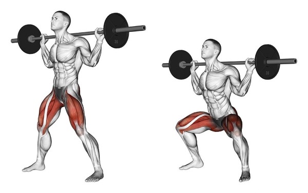 Squats with a barbell on the shoulders. Execution technique, benefits, which muscles work