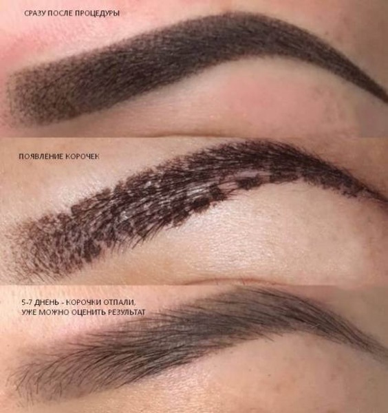 Powdery eyebrow dusting. What is it, how is it done, the price of permanent make-up, microblading, tattooing. Reviews