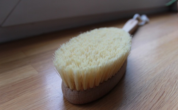 Dry massage brush with natural bristles, cactus, anti-cellulite. Prices and reviews