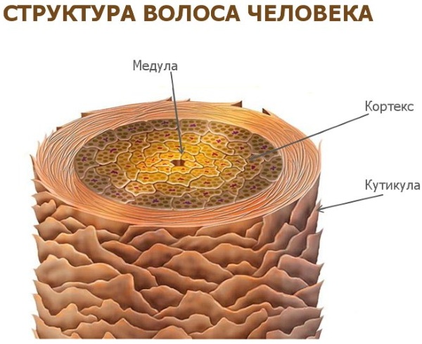 Botox or eyelash lamination: which is better, what is it, how is it different?