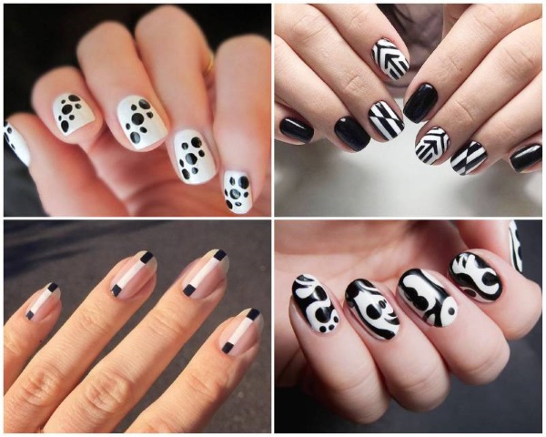 Manicure with black and white varnish for short and long nails. Photos, designs