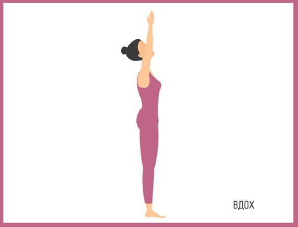 Sun Salutation is a set of exercises for beginners. The benefits of yoga, how to do