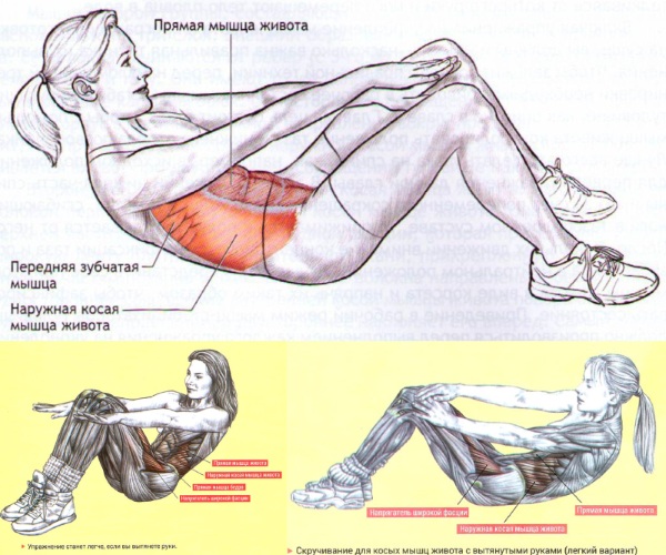 Exercises for straight posture in the gym and at home