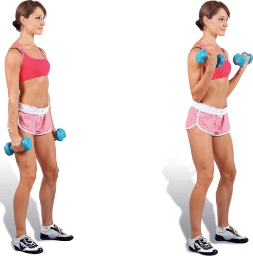 Exercises for biceps with and without dumbbells, on a horizontal bar, with a barbell for girls. Home program