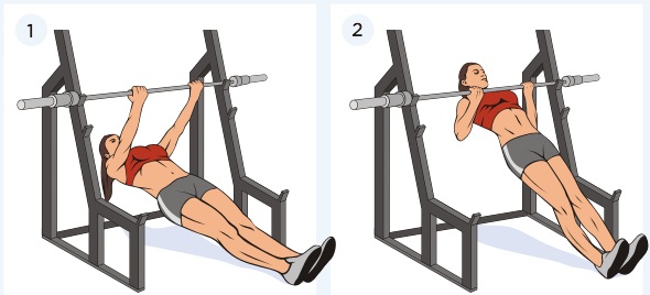 Exercises for biceps with and without dumbbells, on a horizontal bar, with a barbell for girls. Home program