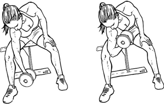 Exercises for biceps with and without dumbbells, on a horizontal bar, with a barbell for girls. Home program