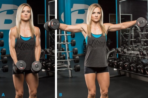 Exercises for the back deltas of the shoulders for girls with dumbbells, a barbell, in the gym