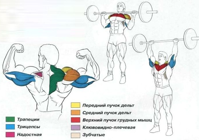 Types of simulators in the gym and how to use them. Names for girls