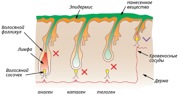 Depilation / hair removal at home with wax / sugar / honey, shugaring. How to do, recipes