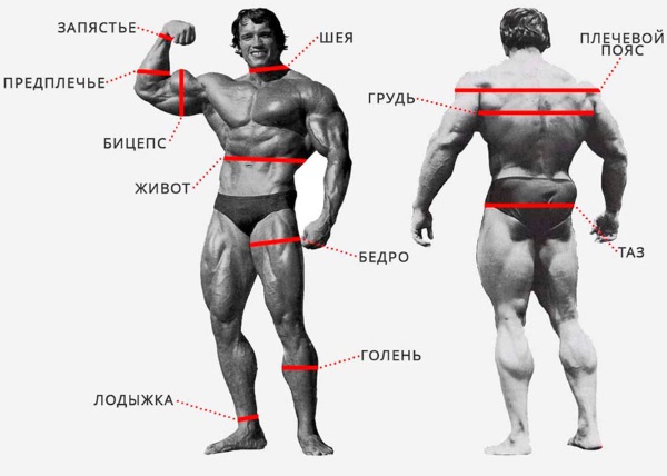 Optimal weight for a woman. Height and age norm, body mass index, calculation formula