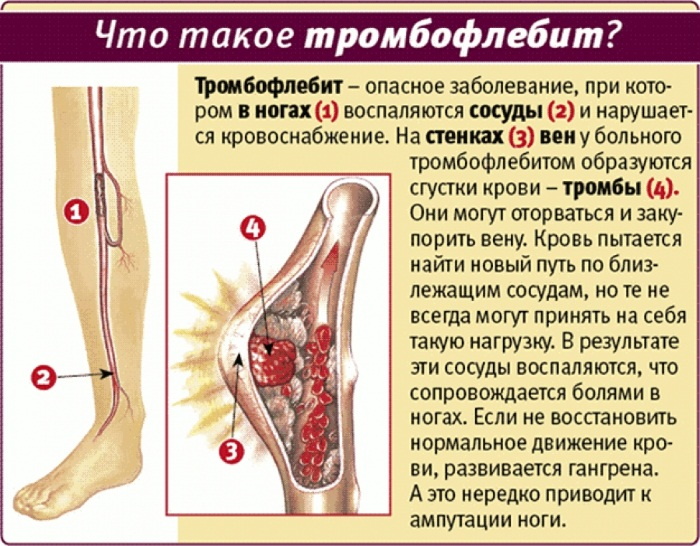 Vacuum massage of the face with banks. Lines, how to do it, video