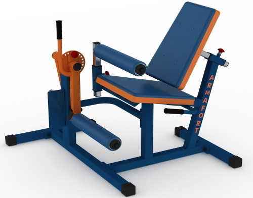 Extension of the legs in the simulator while sitting, on the quads, lying. Benefits, technique, which muscles work