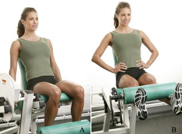 Extension of the legs in the simulator while sitting, on the quads, lying. Benefits, technique, which muscles work