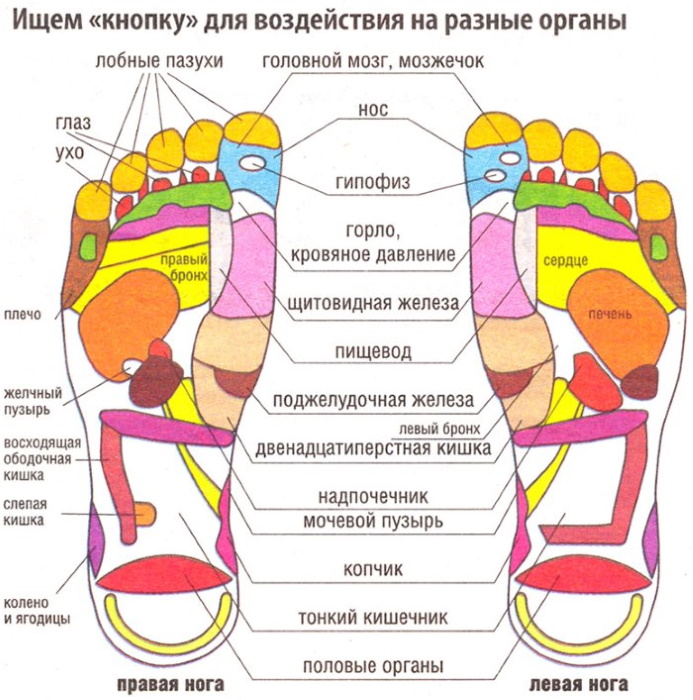 Acupuncture points on the human body.Atlas, photo, how to do acupressure