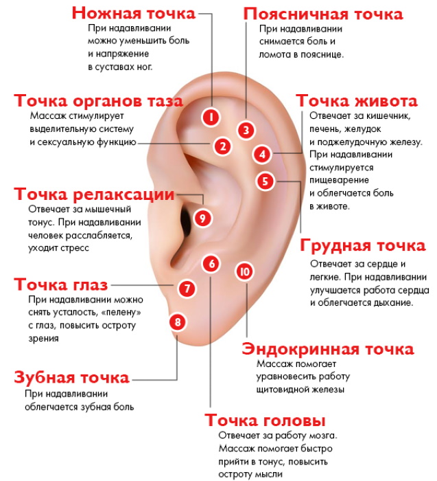 Acupuncture points on the human body. Atlas, photo, how to do acupressure