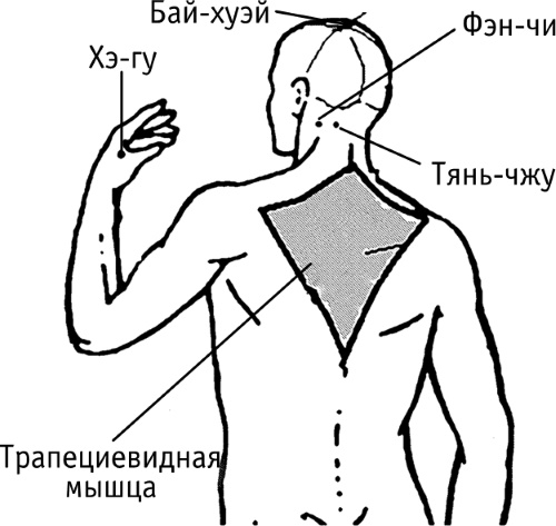 Acupuncture points on the human body. Atlas, photo, how to do acupressure