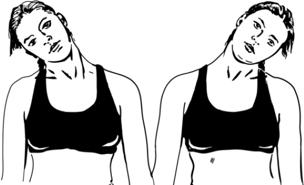 Pectoral muscle workout for girls in the gym, at home