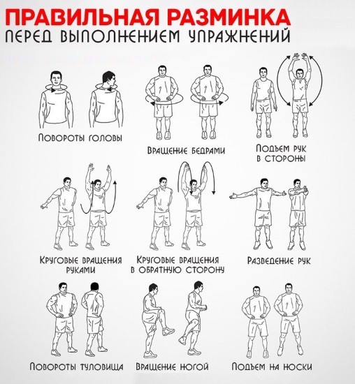 Back exercises for girls with dumbbells, a barbell, on a horizontal bar at home