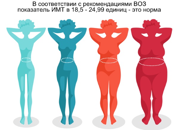 Body types in women: asthenic, normosthenic, hypersthenic, endomorphic. BMI how to determine