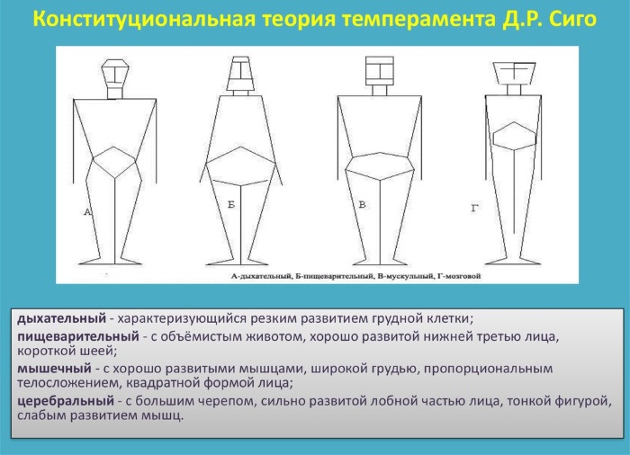 Body types in women: asthenic, normosthenic, hypersthenic, endomorphic. BMI how to determine