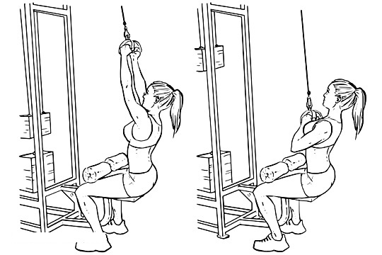 Row of the upper block with a narrow grip to the chest, to the back. What muscles work, technique for girls