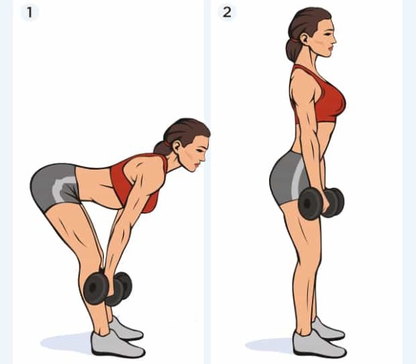 Exercises for the trapezius muscle of the back with dumbbells for women