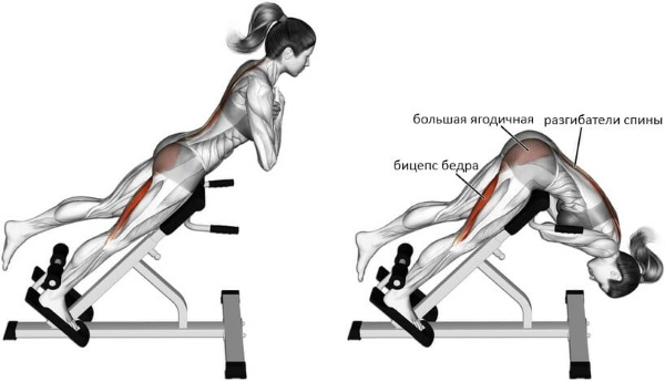 Hyperextension - trainer for the back, abs, strengthening the muscles of the spine, execution technique