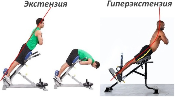 Hyperextension - trainer for the back, abs, strengthening the muscles of the spine, execution technique